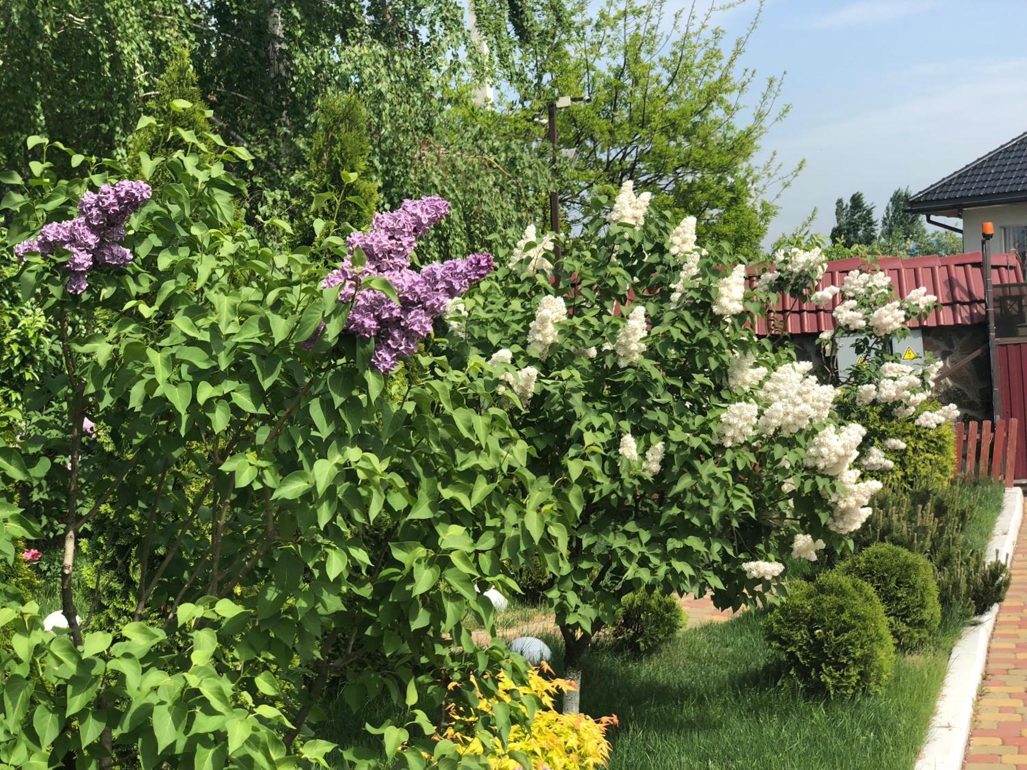 Hotel Sofievsky Posad 3*